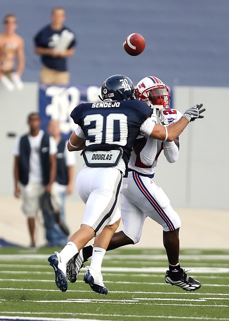 萊萬多夫斯 萊萬多夫斯