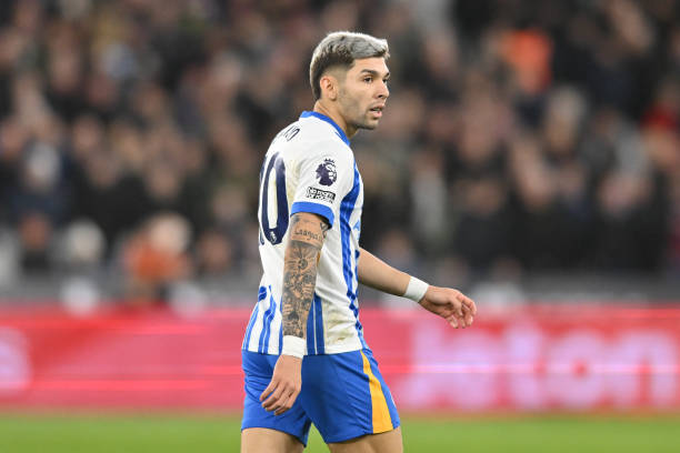 变得更加活 变得更加活